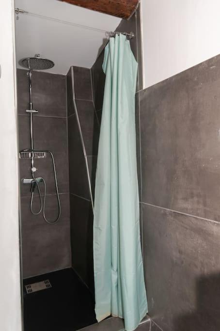 Apartamento Magnifique Duplex Proche Cours Julien *